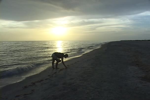 En kvinna går längs stranden — Stockvideo