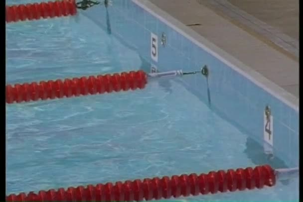 Nadadores na piscina em uma corrida — Vídeo de Stock