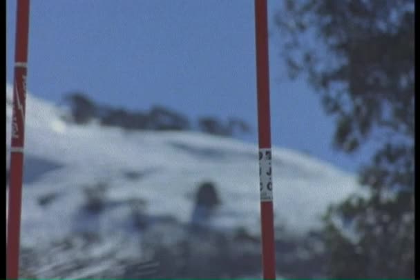 회전 레이스에서 스키 — 비디오