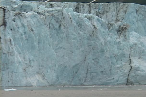 Becerros glaciares en el océano — Vídeo de stock