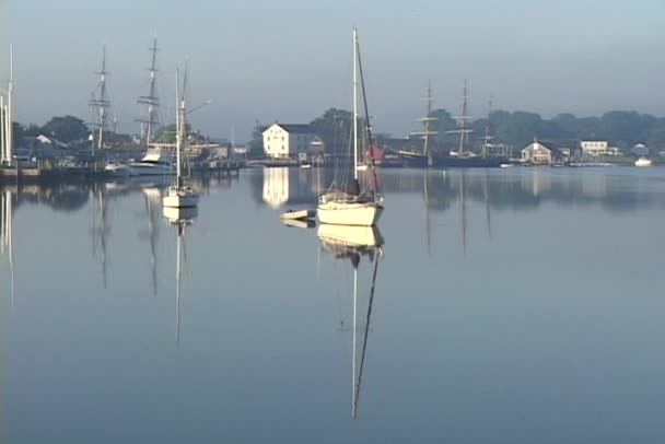 Vários barcos atracados — Vídeo de Stock