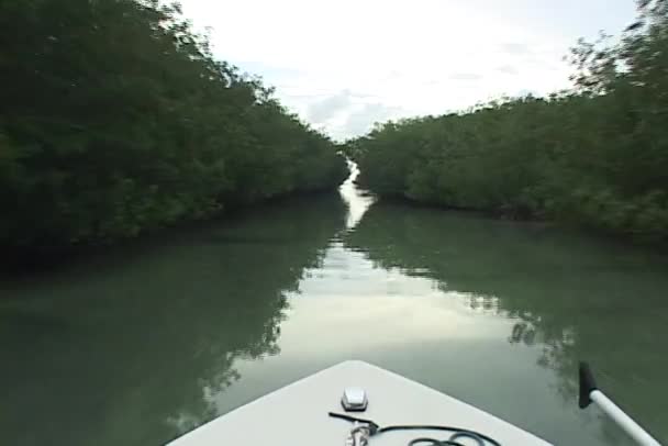Ein Boot fährt durch den Kanal — Stockvideo