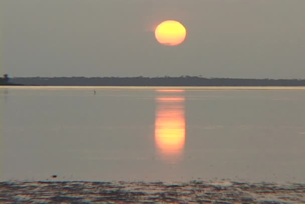 Sol reflete fora da água lisa — Vídeo de Stock