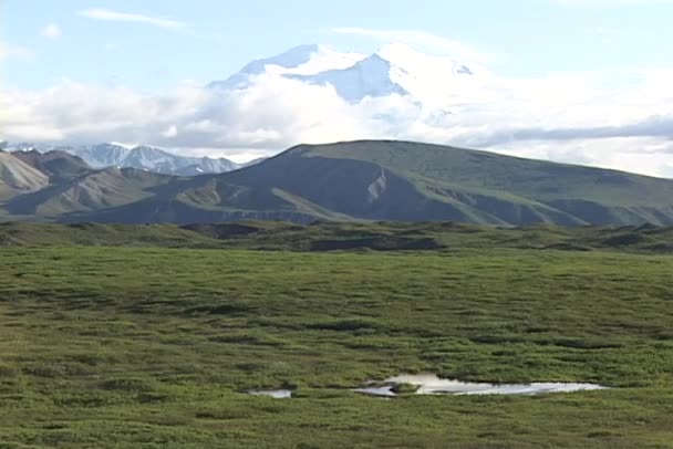 Mt. McKinley nel Parco Nazionale di Denali — Video Stock