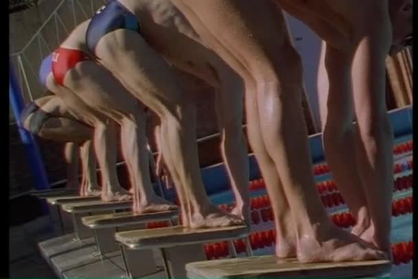 Zwemmers over het starten van platform — Stockvideo