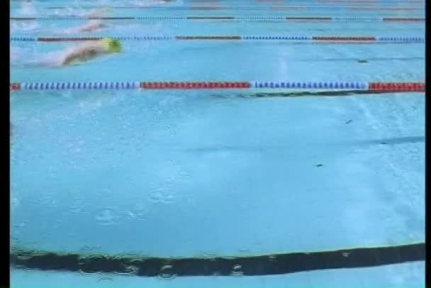 Simmare i en pool i race — Stockvideo