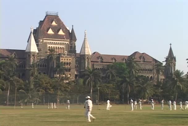 Cricketspieler üben — Stockvideo