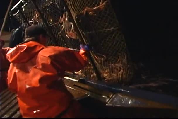 Trabajadores arrojan cangrejo lleno — Vídeo de stock