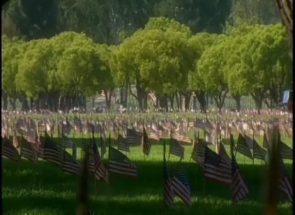 Cimitero militare con bandiere americane — Video Stock