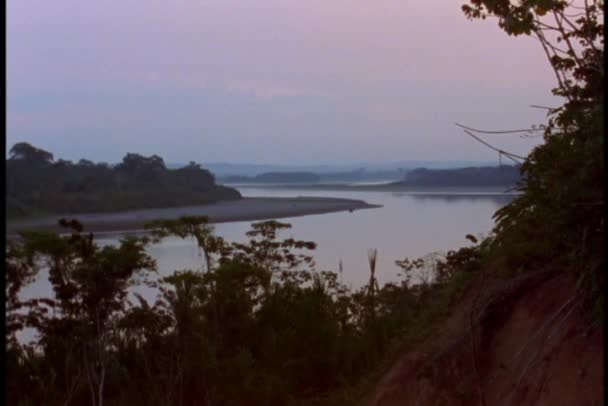 Река течет через джунгли — стоковое видео