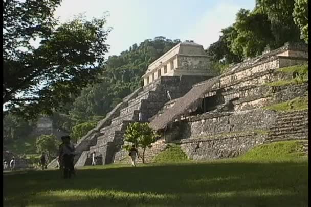 Храм Майя в Паленке, Мексика — стоковое видео