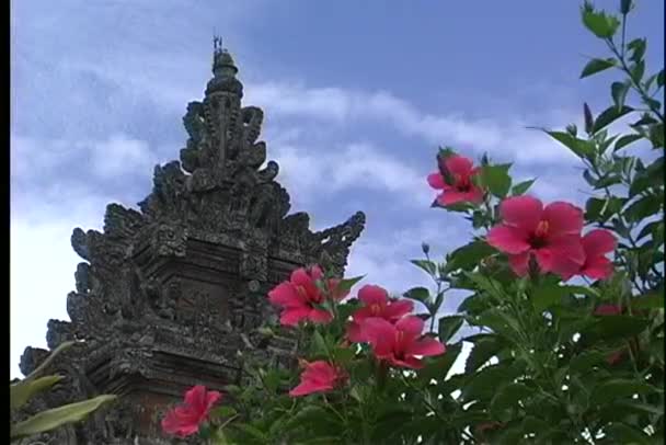印度教寺庙与可爱的粉色小花 — 图库视频影像