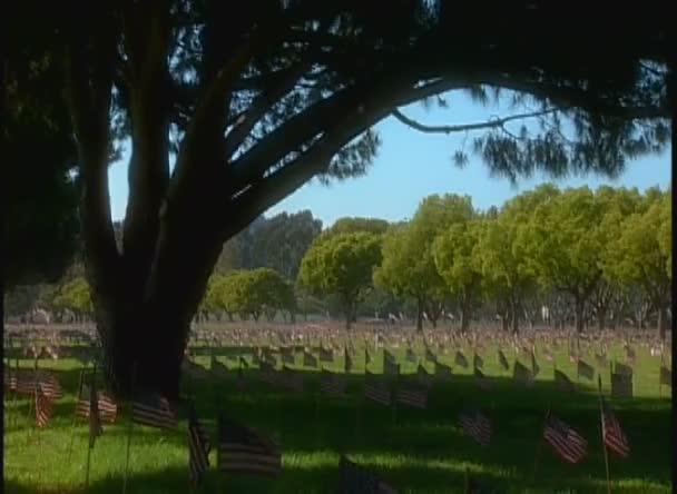 Military cemetery with American flags — Stock Video