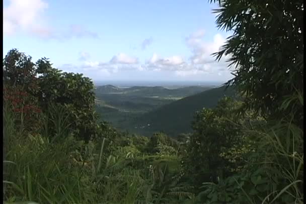 Green Puerto Rican hills — Stock Video