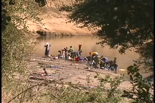 Kvinnor tvättar kläder i Niger River — Stockvideo