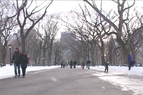 Жители Нью-Йорка посещают Центральный парк — стоковое видео