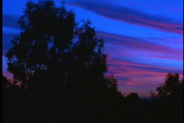 深い青色の夕暮れの空 — ストック動画