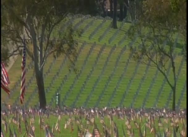 Friedhof mit amerikanischen Flaggen — Stockvideo