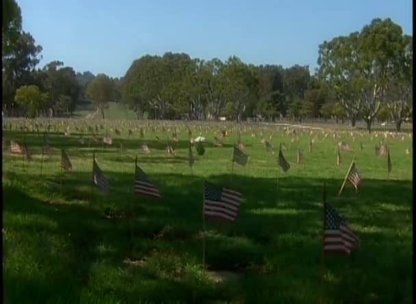 American flags at cemetery — Stock Video