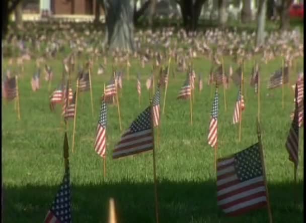 Могили на військовому цвинтарі — стокове відео