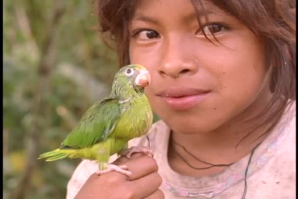 Menina segurando um papagaio bebê — Vídeo de Stock