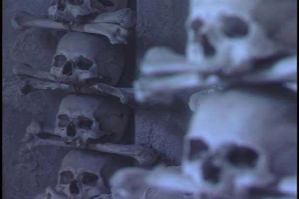 Human skulls and bones in catacomb — Stock Video