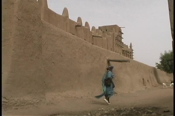 Mujeres africanas en vestidos nativos — Vídeo de stock