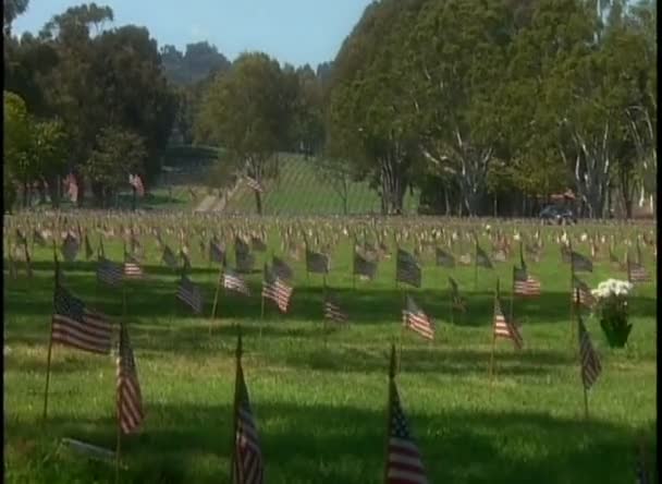 American flags fly in a cemetery — Stock Video