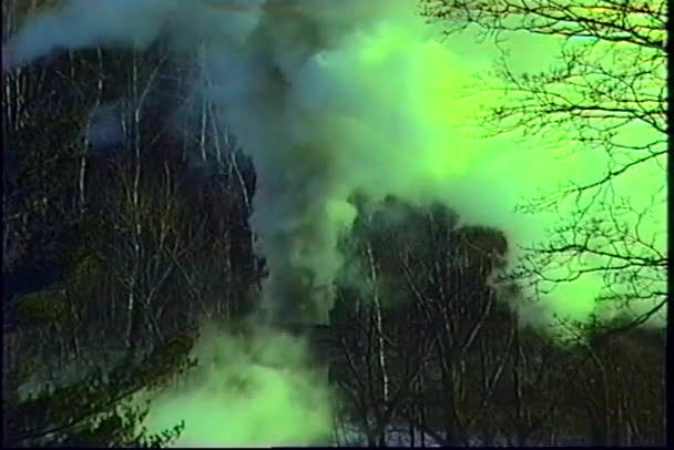 Salgueiros de fumo verde — Vídeo de Stock