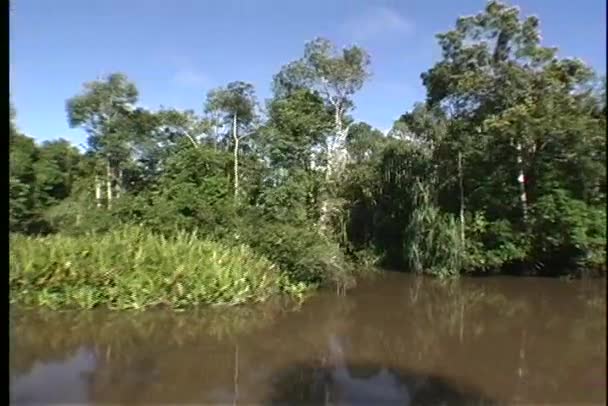 진흙 강 여행 — 비디오