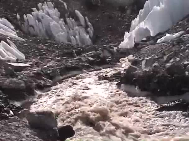 Mountain stream water lopen — Stockvideo