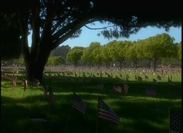 Cemitério militar com bandeiras americanas voando — Vídeo de Stock