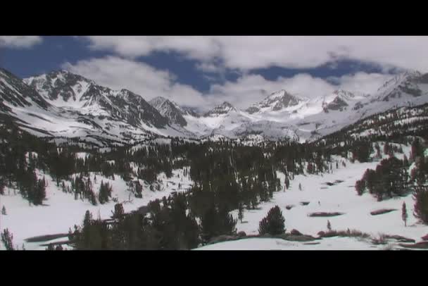 Wolken ziehen an einem blauen Himmel vorbei — Stockvideo