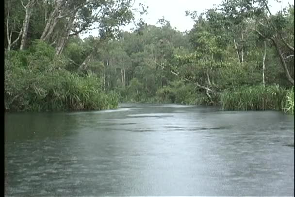 Rio Amazonas fluindo — Vídeo de Stock