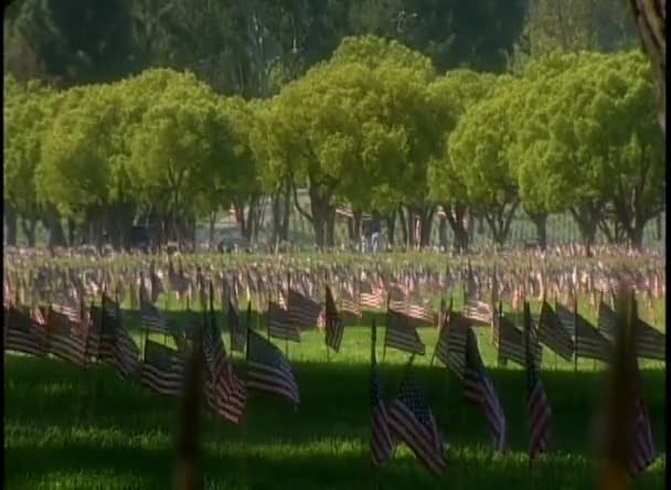 Katonai temető, Amerikai zászló — Stock videók