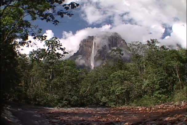 ベネズエラのエンジェル滝 — ストック動画