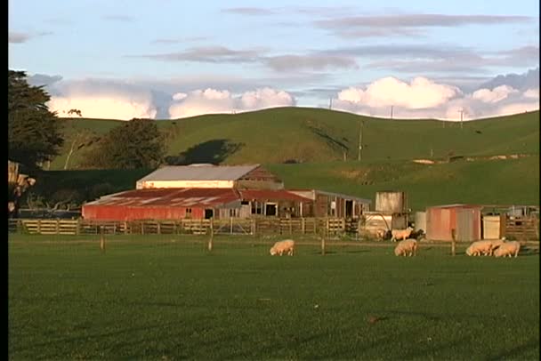 Ranch en heuvels in Nieuw-Zeeland — Stockvideo