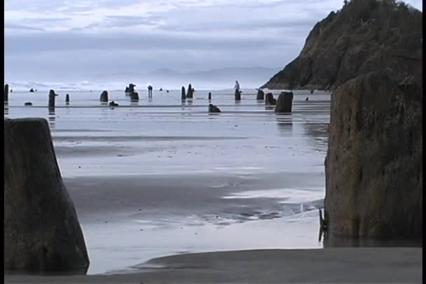 Folk springa längs stranden — Stockvideo