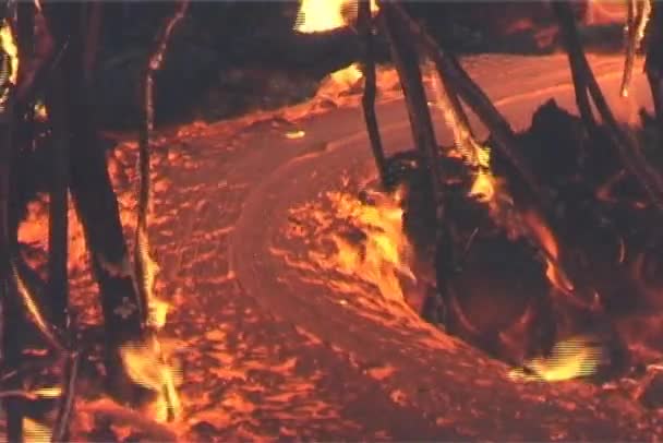 Lava de fluxo queima árvores — Vídeo de Stock