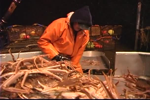 Men work together to sort crabs — Stock Video