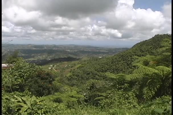 Groene Puerto Ricaanse heuvels — Stockvideo