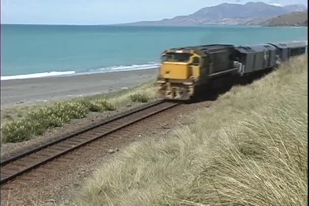 Товарний поїзд проходить уздовж берегової лінії — стокове відео