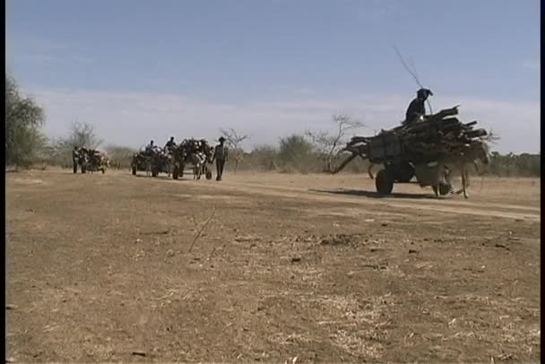 Hombres con un carro tirado por un burro — Vídeos de Stock