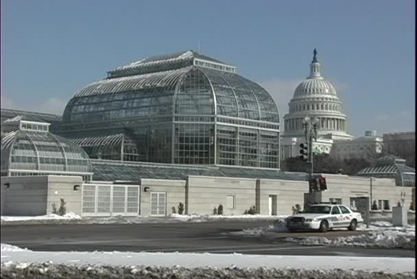 Nationales Arboretum in Washington — Stockvideo