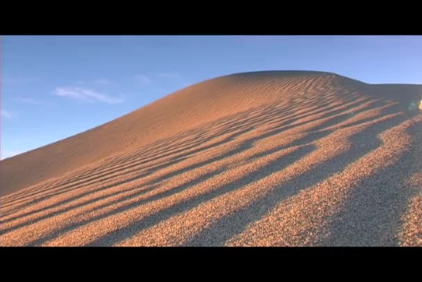 Golden light shines on dune — Stock Video