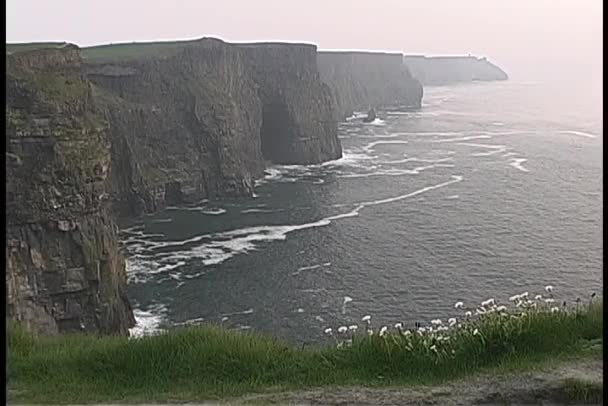 Cliffs of Moher toren boven de Oceaan — Stockvideo