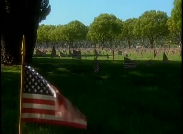 American flags fly in a cemetery — Stock Video