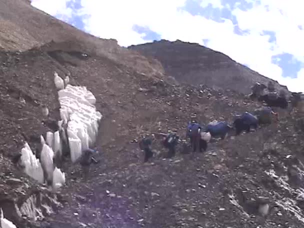 Yaks walking up a rocky hill — Stock Video