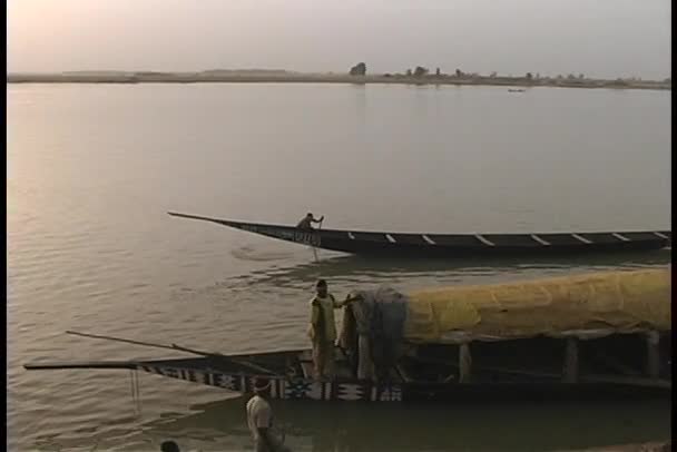 De longs bateaux amarrés le long du rivage — Video