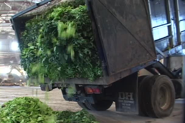 Camión vertederos planta escombros — Vídeos de Stock